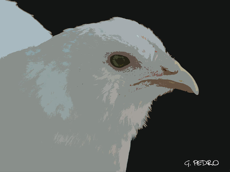Ameraucana Chick in White Painting by George Pedro