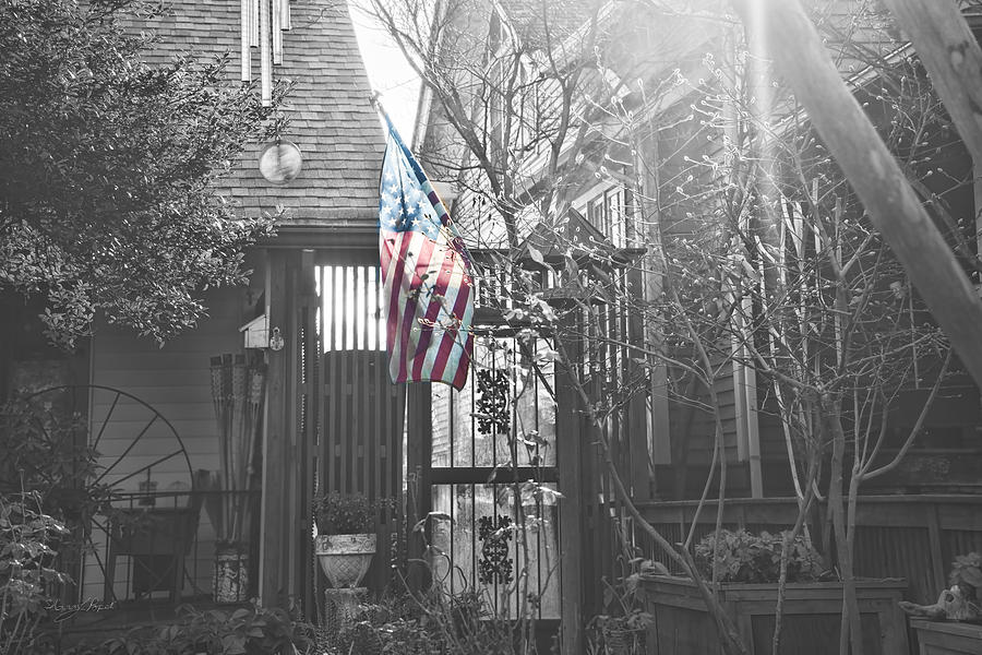 Flag Photograph - America at Home by Sharon Popek