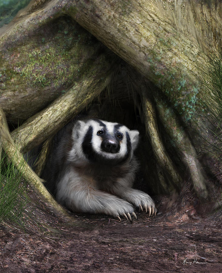 Wildlife Painting - American Badger by Gary Hanna