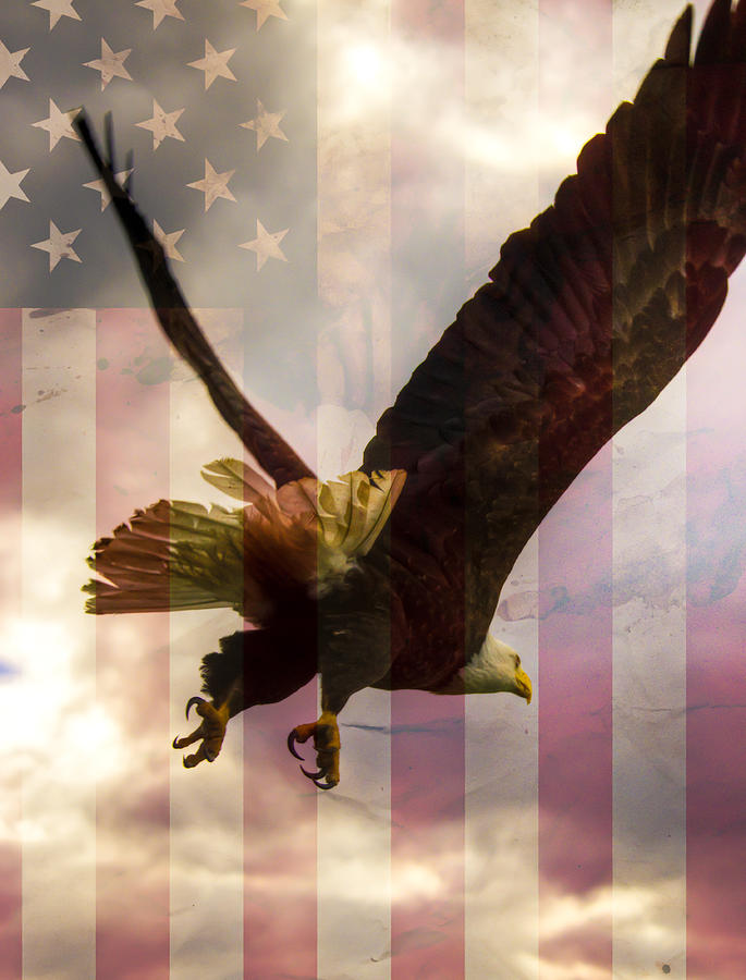 American Bald Eagle In Flight wtih Flag Photograph by Natasha Bishop