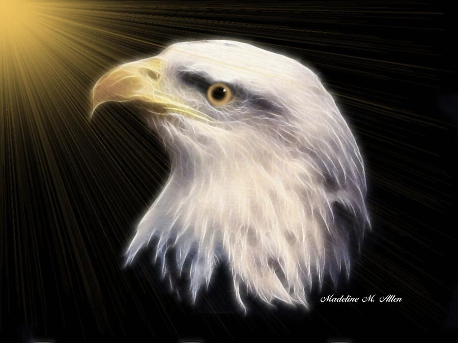 American Bald Eagle Digital Art by Madeline  Allen - SmudgeArt