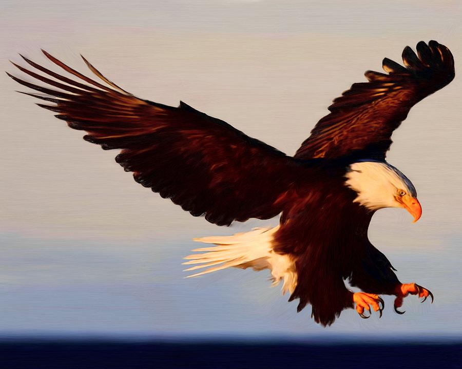 American Bald Eagle Painting by Troy Caperton