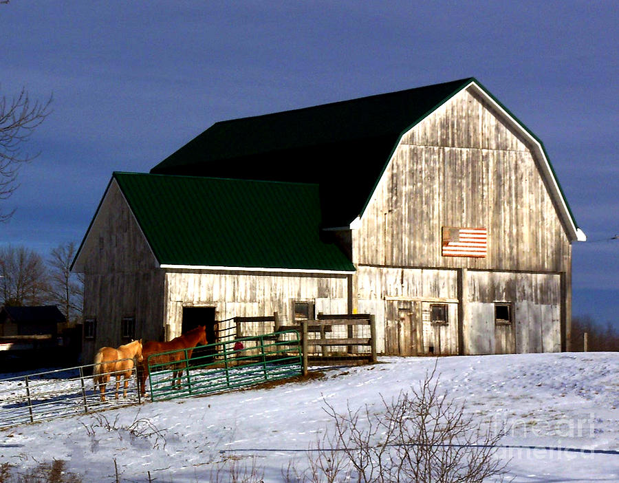 American Barn Photograph by Desiree Paquette