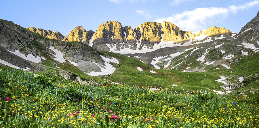 American Basin Wildflowers Photograph by Aaron Spong