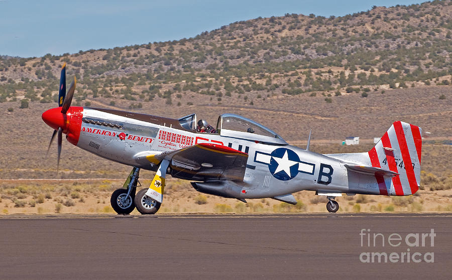 American Beauty P51 Photograph By Steve Rowland Fine Art America