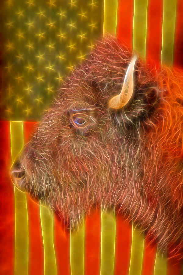 American Bison Headshot Flag Glow Photograph by James BO Insogna