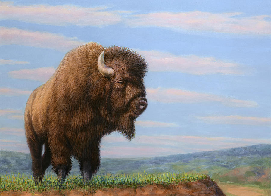 Bison Painting - American Bison by James W Johnson