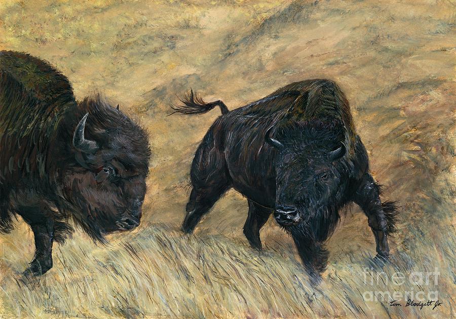 Bison Painting - American Bison by Tom Blodgett Jr