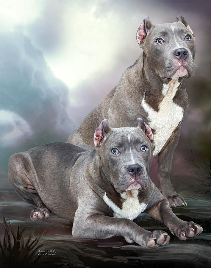 American Bully Mixed Media by Carol Cavalaris