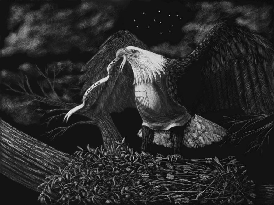 Eagle Drawing - American Eagle by Heather Ward