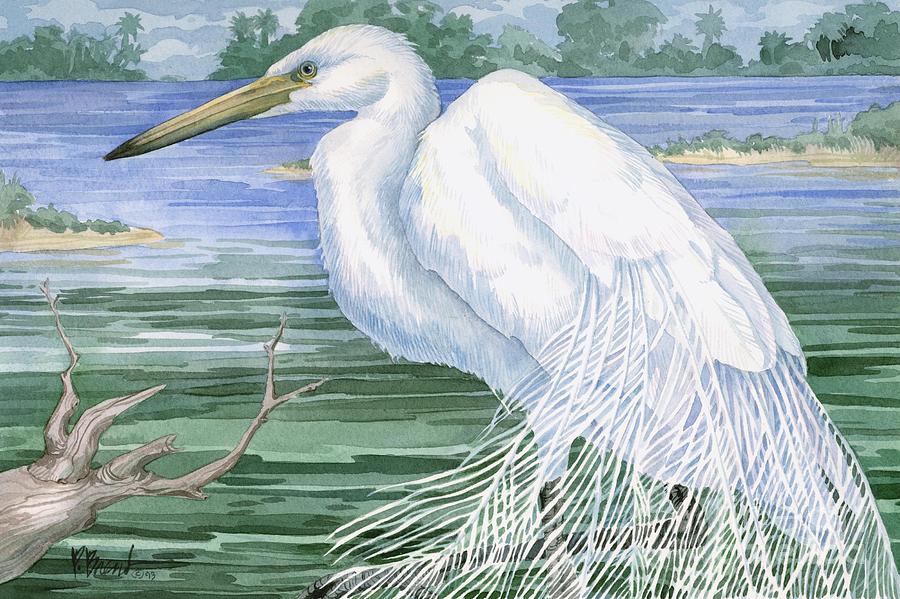 Egret Painting - American Egret by Paul Brent