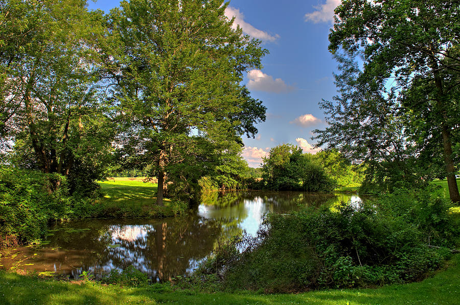 Tree Photograph - American Farm Pond by William Jobes