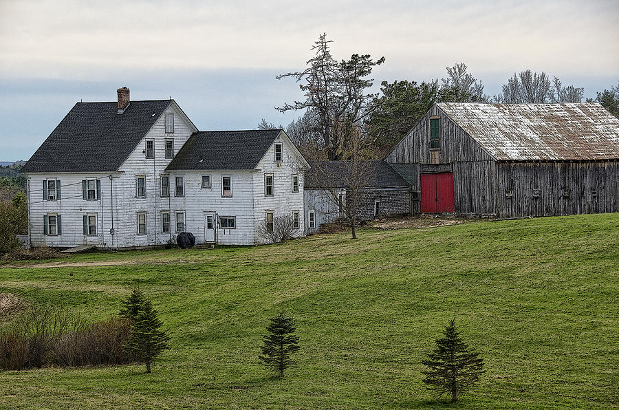 American Farmhouse Photograph by Donna Doherty