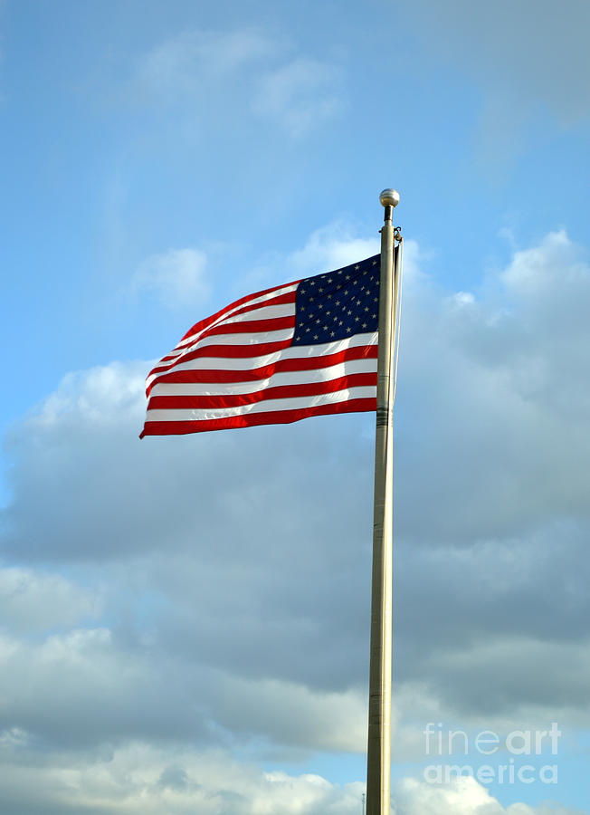 American Flag 1 Photograph by Alys Caviness-Gober