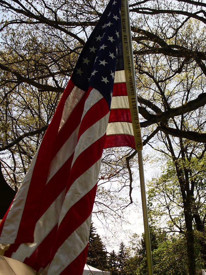 American flag 2 Photograph by Karl Rose