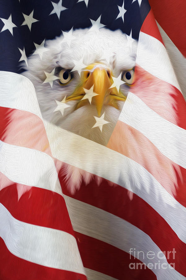 American Flag and Bald Eagle Montage Photograph by Tim Gainey