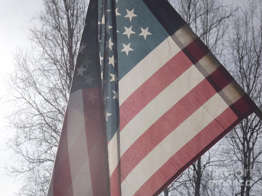 Tree Photograph - American Flag by Jennifer Kimberly