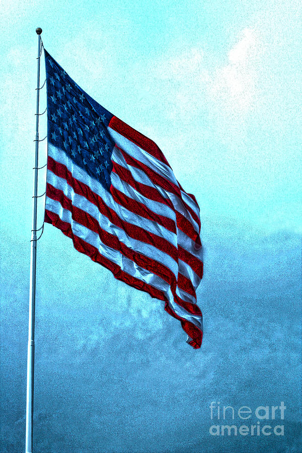 American Flag Veterans Park Huntsville Alabama Photograph by Lesa Fine