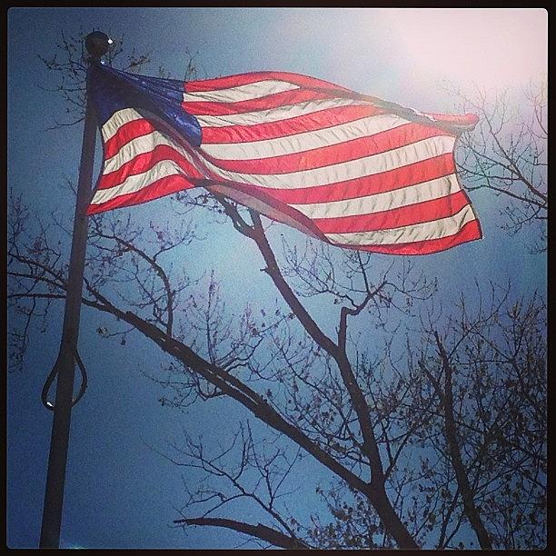 American Flag Photograph by Sarah Steele