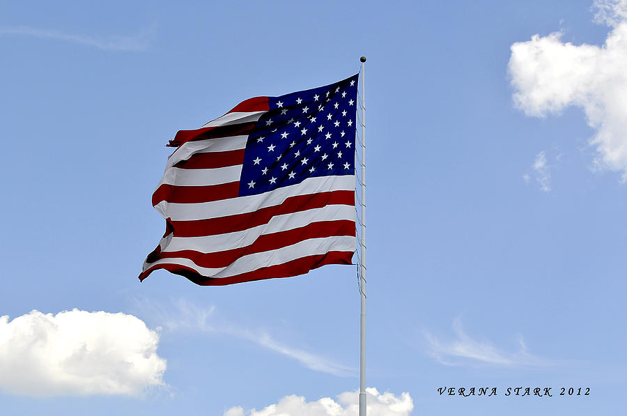 American Flag Photograph by Verana Stark