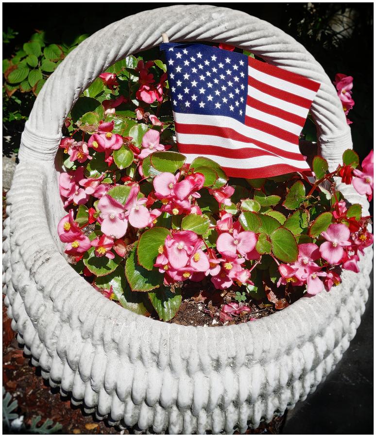 American Flag with Flowers Photograph by Joan Reese