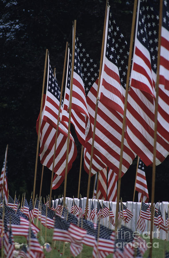 American Flags honoring our Soldiers Photograph by Jim Corwin