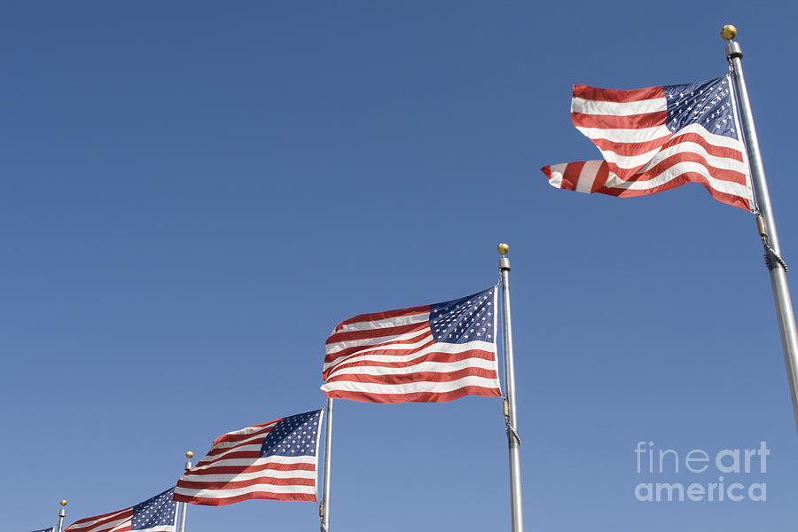American Flags Photograph