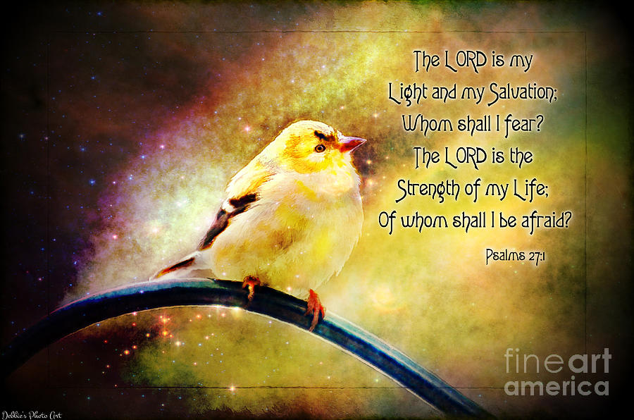 American Goldfinch gazes upward  - Series II  Digital Paint with verse Photograph by Debbie Portwood
