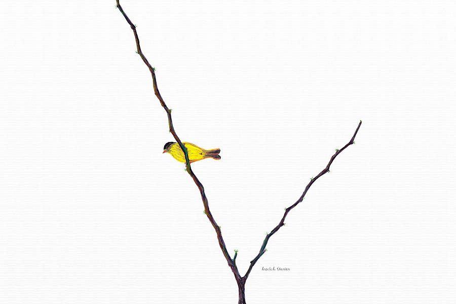 American Goldfinch in the Tree Painting by Angela Stanton