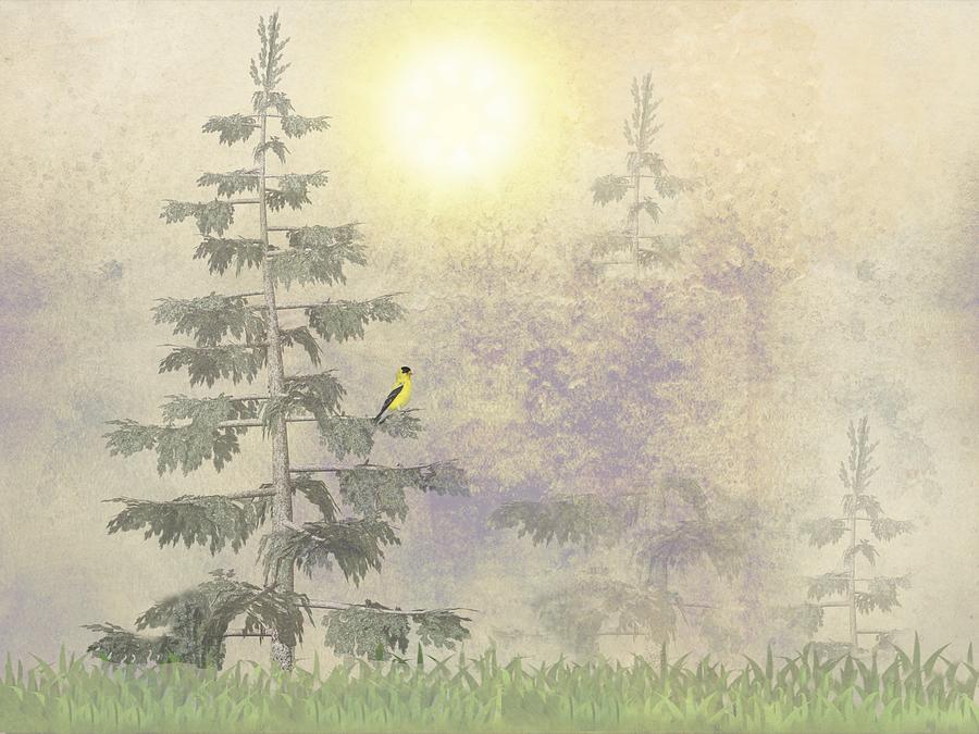 American Goldfinch Morning Mist  Digital Art by David Dehner