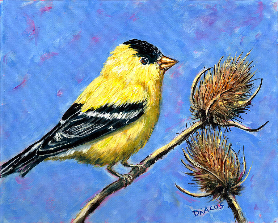 Original American Goldfinch Painting