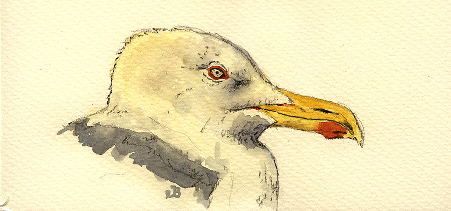 Wildlife Painting - American herring gull by Juan  Bosco