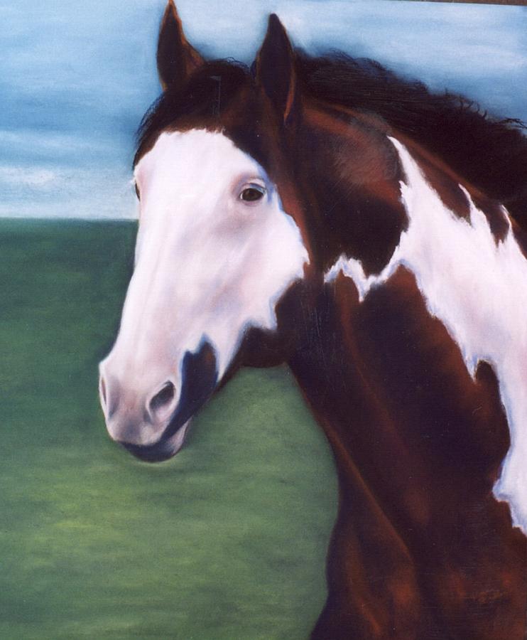 Horse Pastel - American Paint Horse by Jane Friday