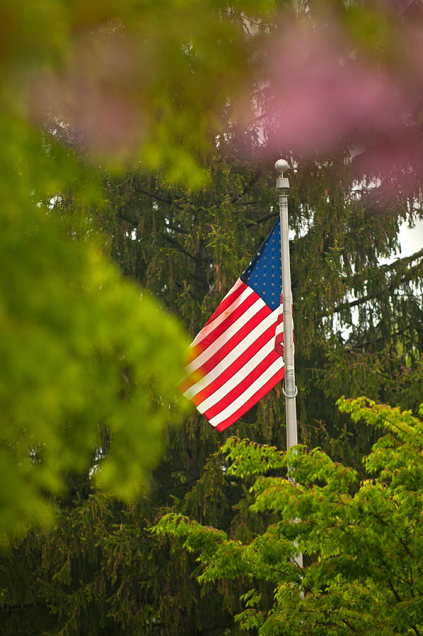 American Pride Framed by Nature Photograph by Paul Mangold