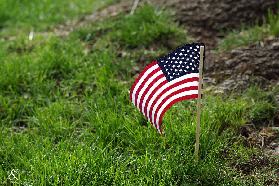 American Pride Photograph by Kelly Smith