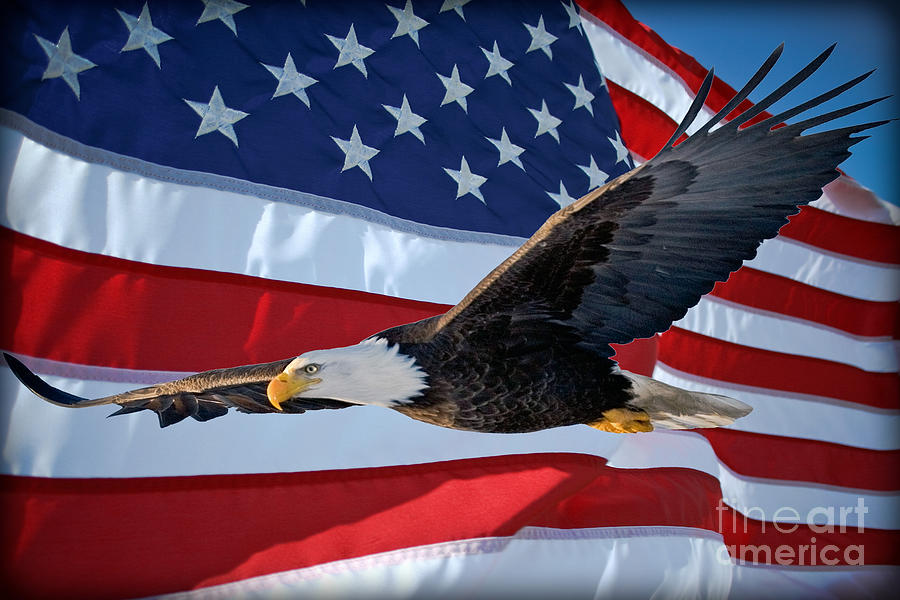 American Proud Photograph by Gary Keesler