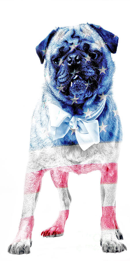 Fourth Of July Photograph - American Pug Phone Case by Edward Fielding