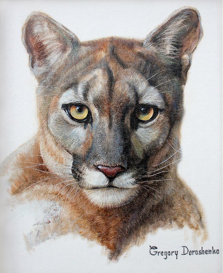 American Puma Painting by Gregory Doroshenko