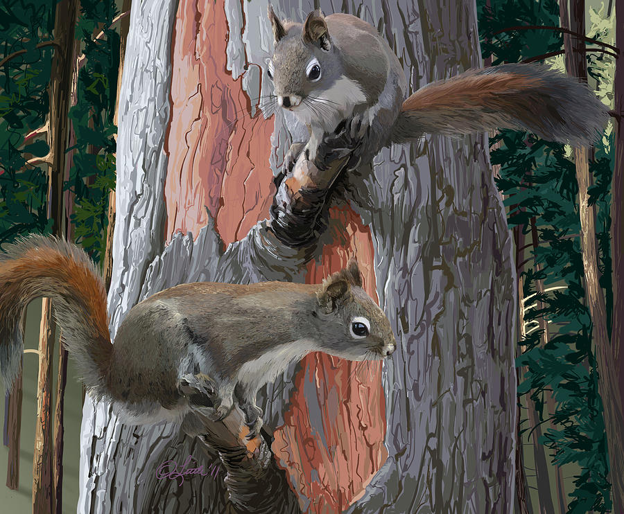 American Red Squirrels Painting by Pam Little