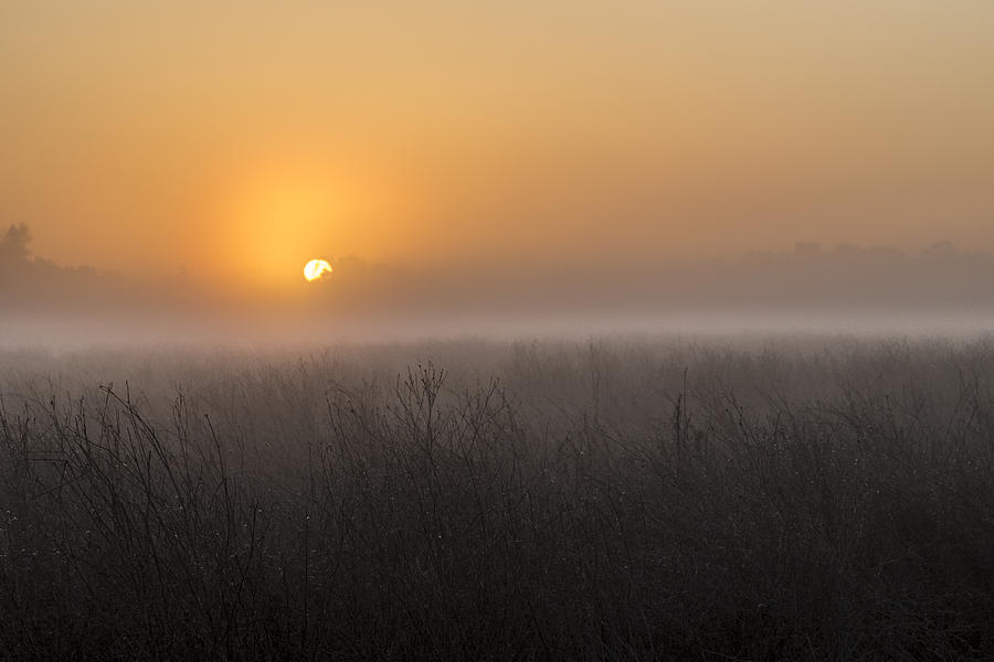 Foggy Sunrise Photograph by Lee Harland