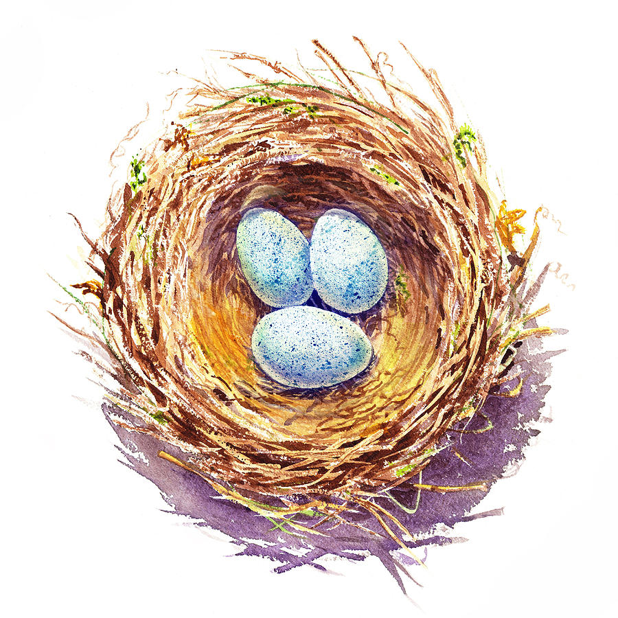 American Robin Nest Painting