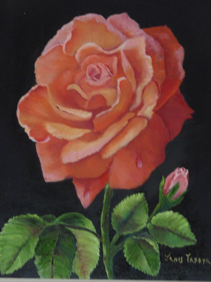 American Rose Painting by Janis  Tafoya