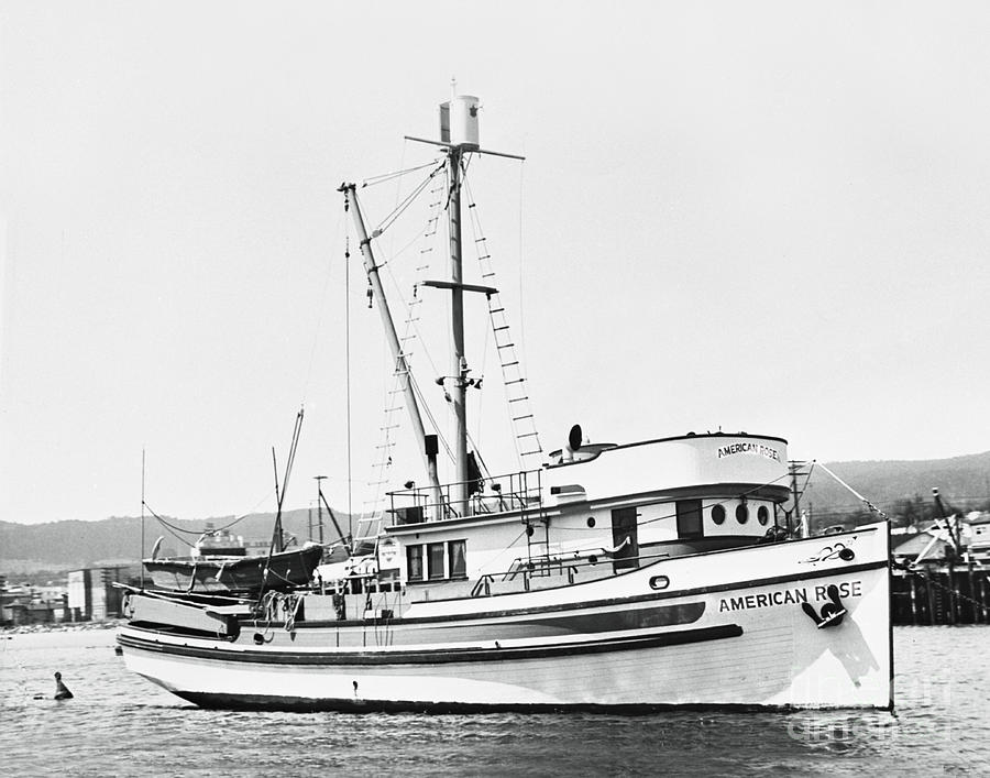 Boat Photograph - American Rose Purse seiner in Monterey Harbor 1948 by Monterey County Historical Society