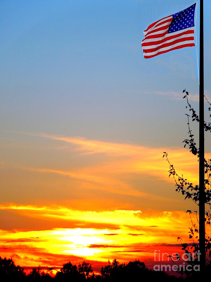 American Sunset Photograph by Renee Trenholm