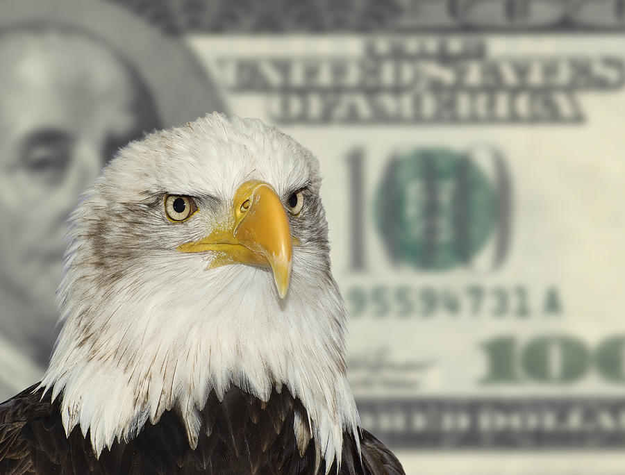 American Symbol Bald Eagle Against Dollar Currency Background