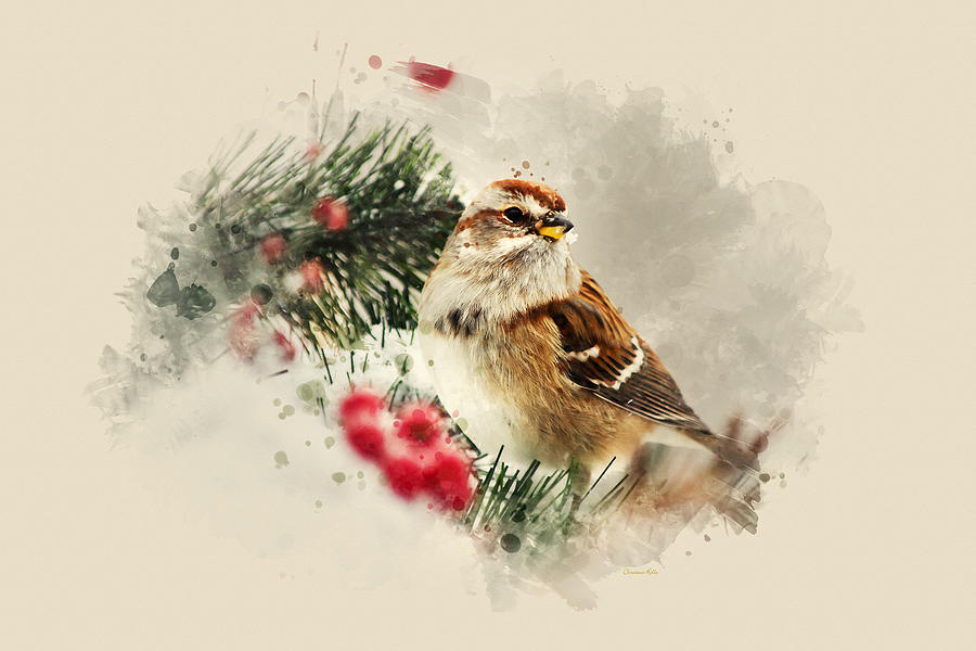 American Tree Sparrow Watercolor Art Mixed Media by Christina Rollo