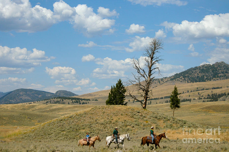 Yellowstone National Park Photograph - American West Horseback by Denise Lilly
