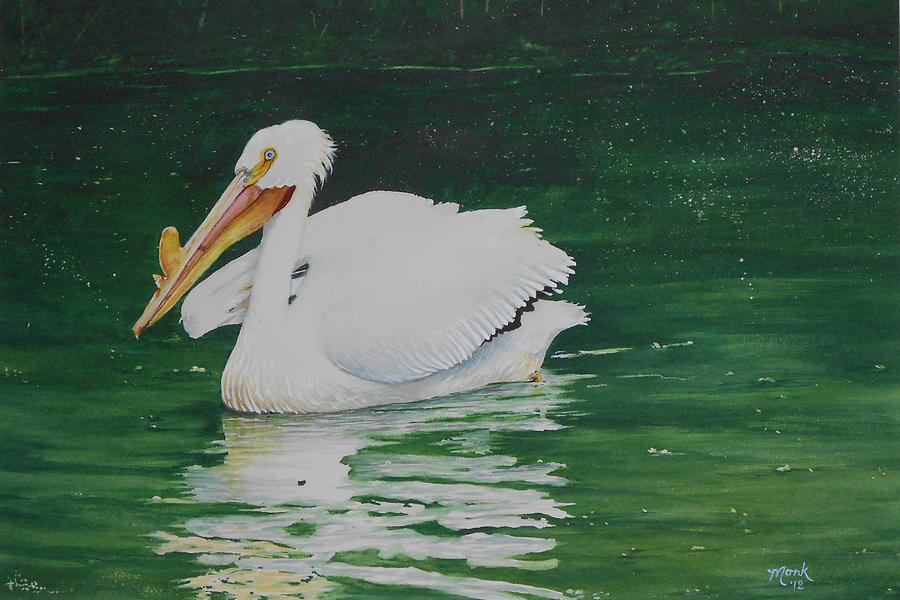 American White Pelican Painting by Wanda Monk - Fine Art America