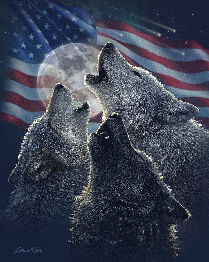 Wolf Trinity America Painting by Collin Bogle