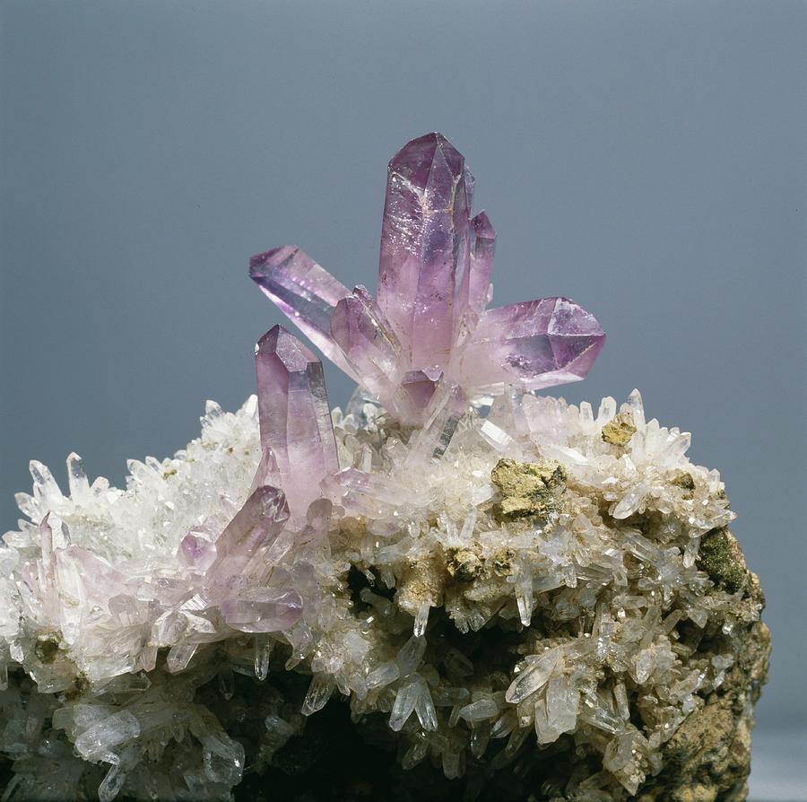 London Photograph - Amethyst Crystals by Natural History Museum, London/science Photo Library